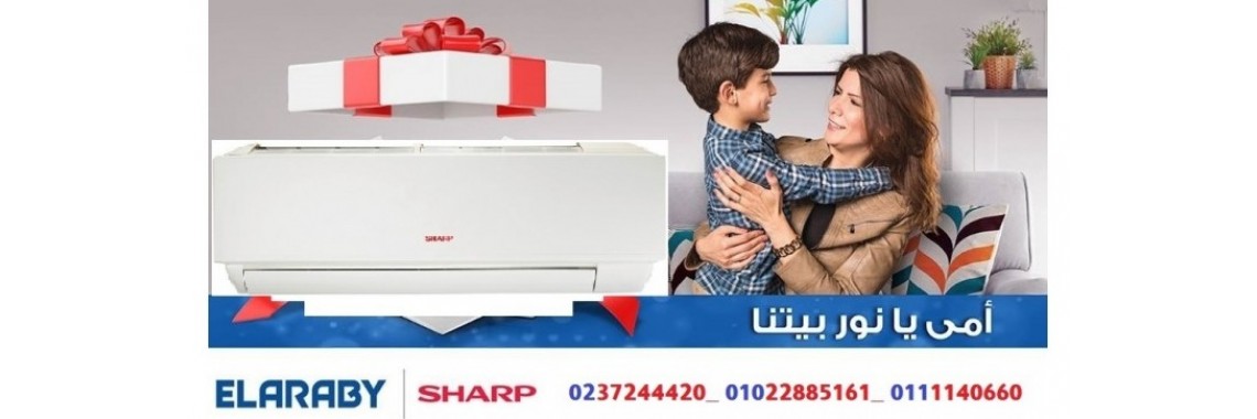 شارب العربى